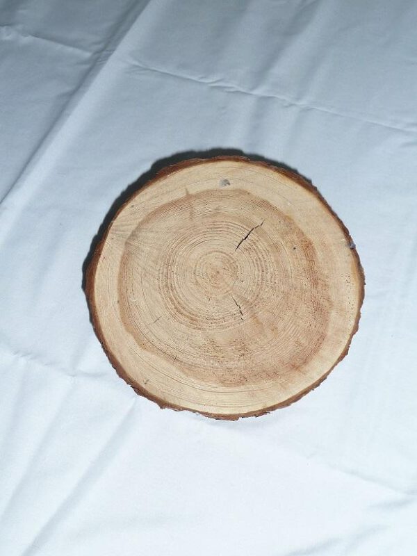 Holzscheibe
