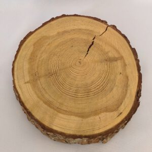 Holzscheibe